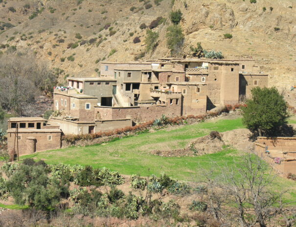 ourika valley taxi tours