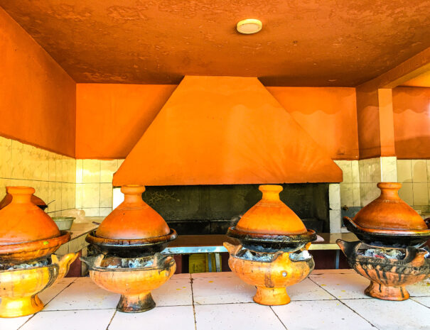 ourika valley taxi tours