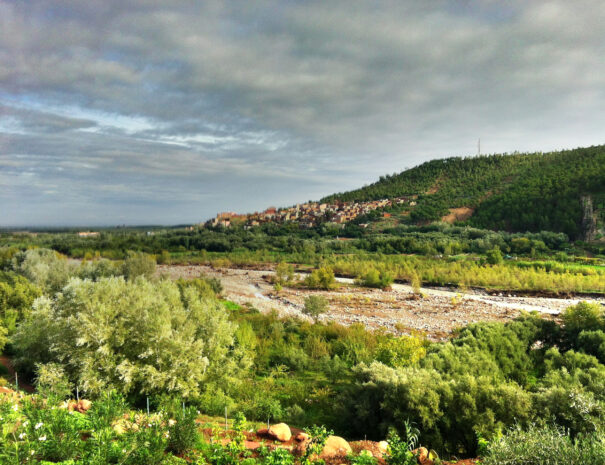 ourika valley taxi tours